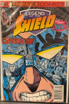Legend of the Shield #6